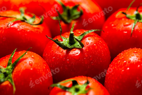 Preview: Red tomatoes with water drops