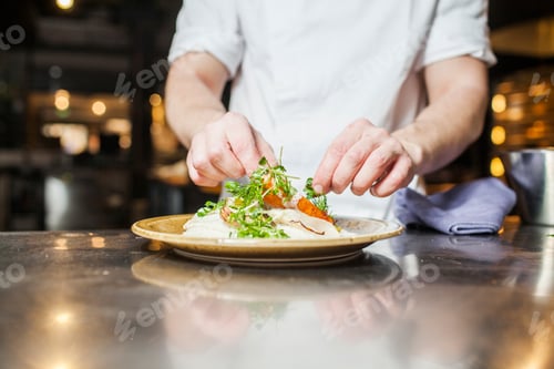 Preview: Midsection of chef garnishing food in plate at counter