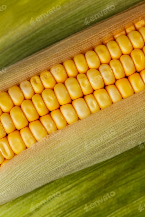 Preview: Maize cob