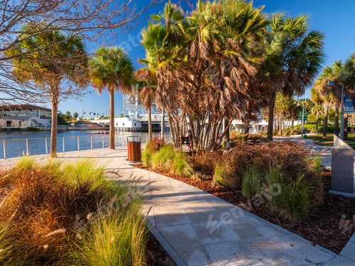 Preview: Tampa, Florida streets view