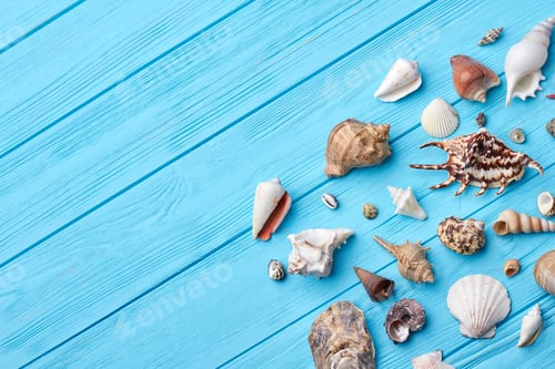 Preview: Sea shells, textured blue background