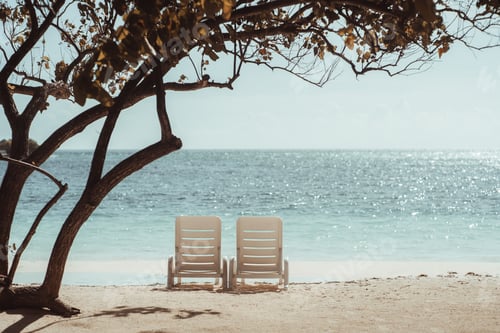 Preview: Two deck chairs on the sunny beach covered by tree