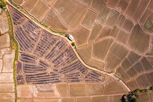 Preview: Agricultural soil groove, land spot field preparing for cultivation in farmland at countryside