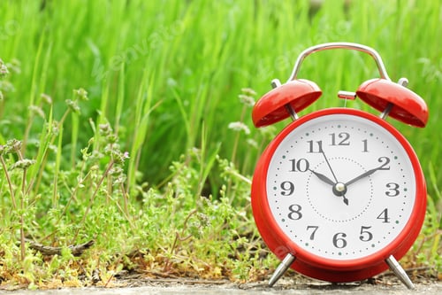 Preview: Alarm clock near green grass, outdoors. Time change concept