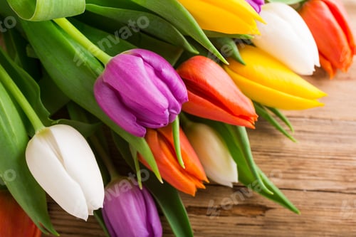 Preview: Colorful tulips on old wooden background