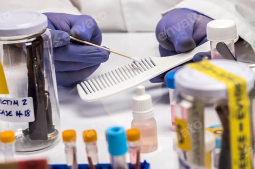 Preview: Specialized police take DNA sample from murder victim, conceptual image