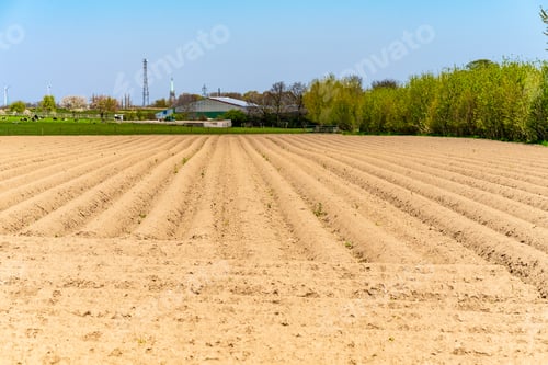 Preview: View of the plowed fields in the spring for growing