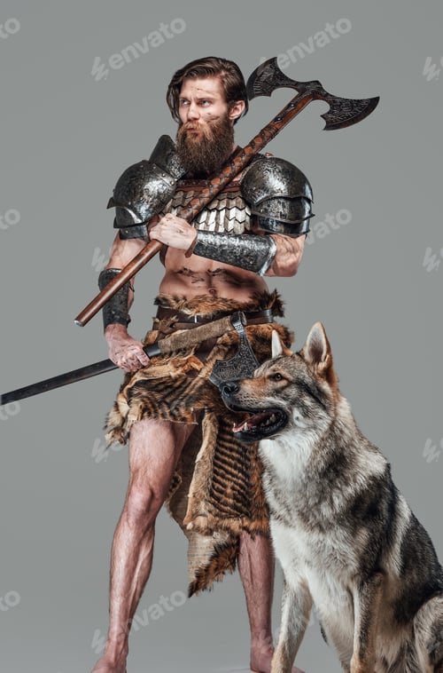 Preview: Scandinavian fighter with two axes and cute wolf looking away
