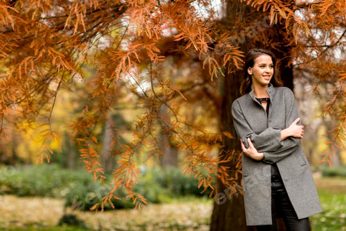 Preview: Young woman in the autumn forest