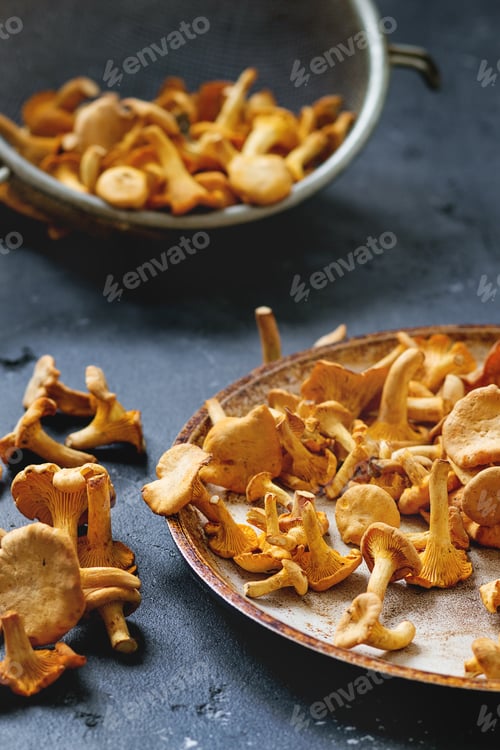 Vista previa: Forest mushrooms chanterelle