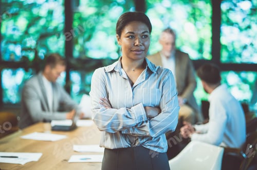 Preview: Professional Woman Leading Business Meeting with Colleagues