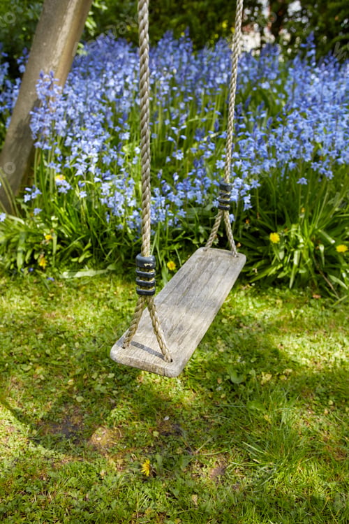 Preview: Sling and Bluebells in my garden