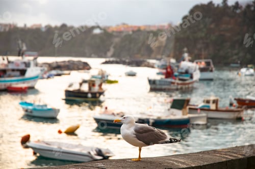 Preview: Beautiful fishing village, Marina Corricella on Procida Island, Bay of Naples, Italy.