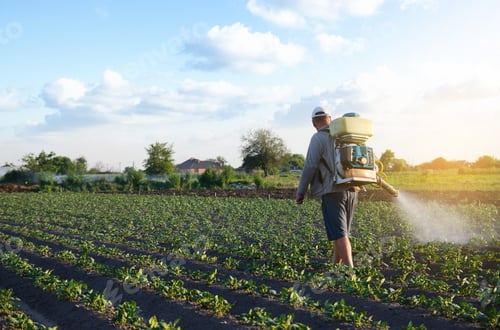 Preview: A farmer with a mist fogger sprayer sprays fungicide and pesticide on potato bushes.