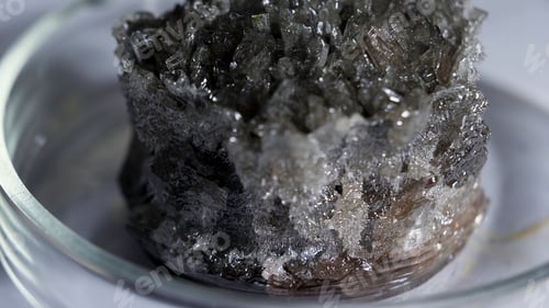Preview: Beautiful natural black crystals shining and standing in the petri dish on grey background. Stock
