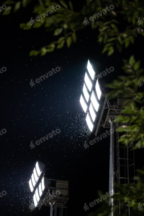 Preview: Swarm of insects and mosquitoes around the lamp of an electric spotlight at night outdoors