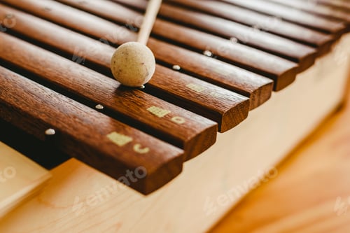 Preview: Wooden xylophone in a music classroom