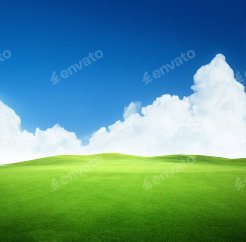 Preview: Field Of Grass And Perfect Sky