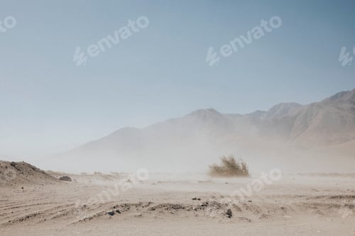 Preview: View of the Californian desert