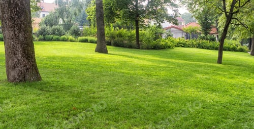 Preview: Bernardine Gardens park in the center of Vilnius