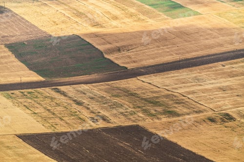 Preview: Yellow farm fields with cereals