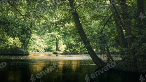 Preview: Woodland with trees flanking water on either side.