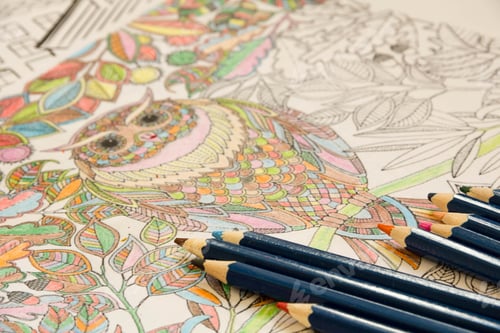 Preview: Adult colouring books with pencils, new stress relieving trend, mindfulness concept person coloring