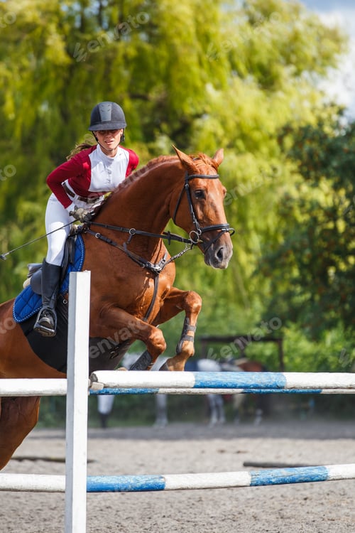 Preview: Young woman riding horseback jumping over the hurdle on showjumping course