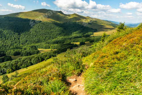 Preview: Wilderness and scenic nature and alpine landscape at summer in Bieszczady Mountains, Carpathians, Po