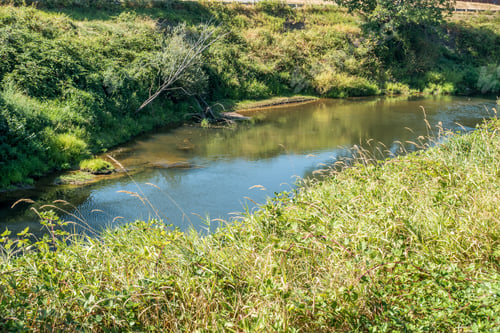 Preview: The Green River In Kent, Washington Flows Low On It'S Banks.