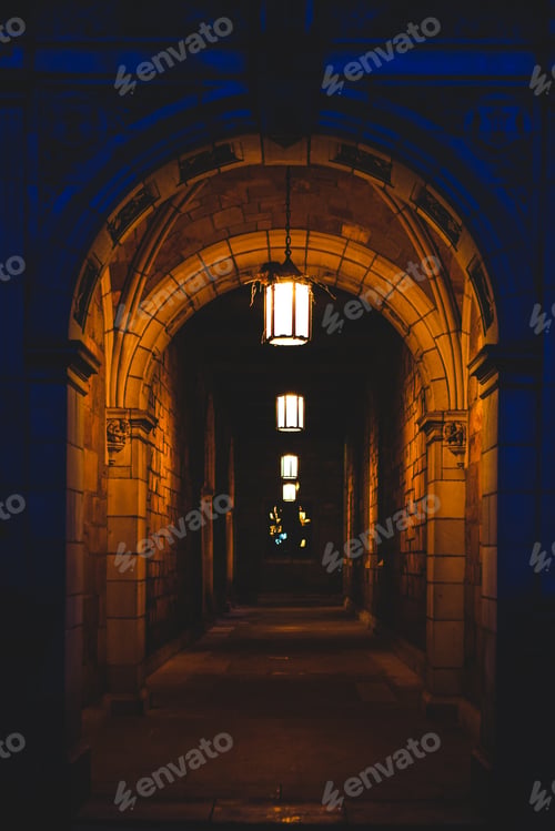 Preview: Lights at Night