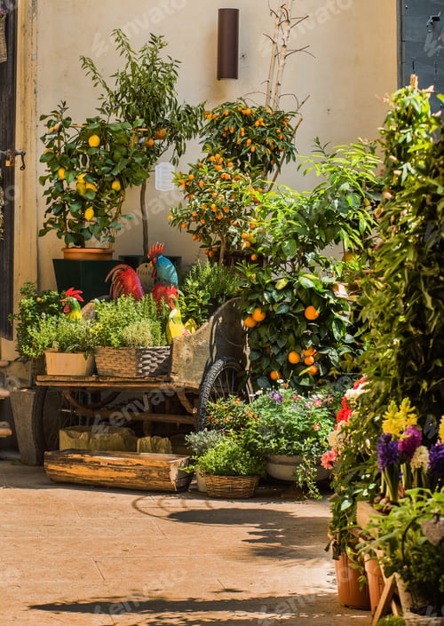Preview: Outdoor Flower Pots In The Italy