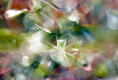 Preview: The colorful abstract background