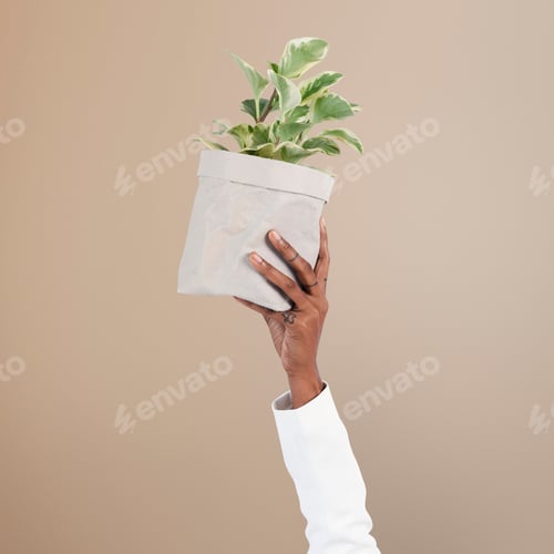 Preview: Hand holding plant save the environment campaign