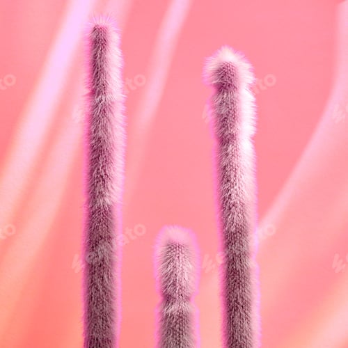 Preview: Cactus Fashion Set. Art gallery Design. Minimal
