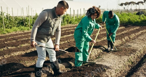 Preview: People, farming and rake land, grow healthy food and sustainability for eco friendly agriculture. D