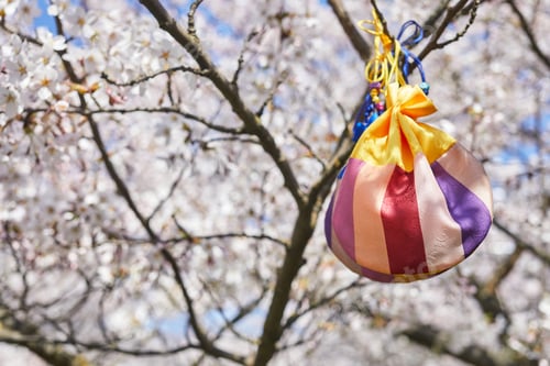 Preview: Korean New Year or Seollal. Sebaetdon lucky bag on Cherry blossom tree.