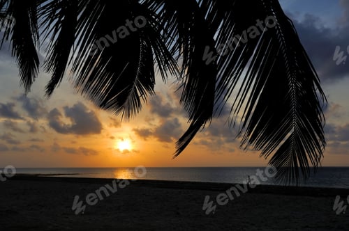 Preview: Sunset over the tropical beach