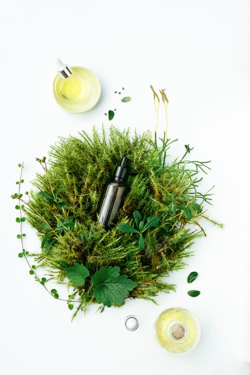 Preview: Brown bottle with natural serum, tincture, oil on organic background from plants