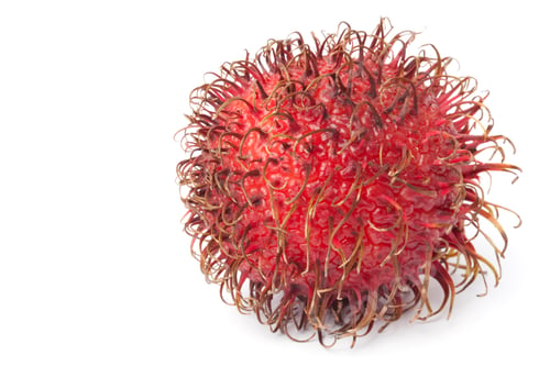 Preview: Whole single fresh rambutan