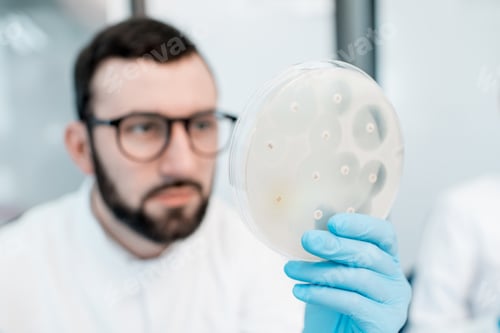 Preview: Laboratory assistant working with bacteria and antibiotics