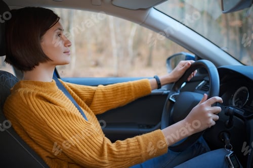 Preview: Asian young Woman behind the wheel of a car.