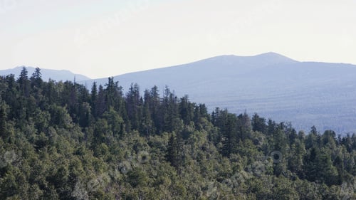 Preview: Majestic panorama of green mountains with sunny beams. Mountains in early morning mist. summer
