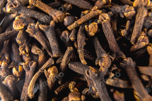 Preview: Thyme photographed with macro photography, food photography