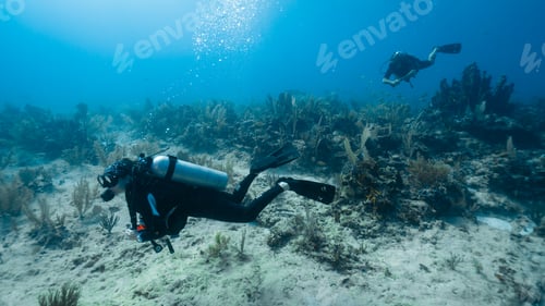 Preview: The loving couple dives among corals and fishes in the ocean