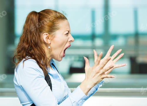 Preview: Closeup Side View Profile Portrait Mad Angry Upset Hostile Young Businesswoman, Worker, Furious