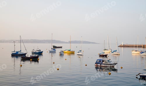 Preview: Boats in Harbor