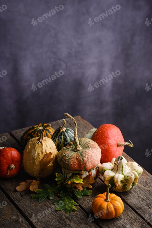 Preview: Various decorative pumpkins and dry leaves