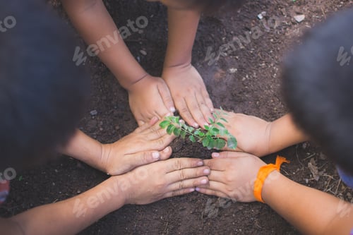 Preview: hand of children holding plant and soil with bokeh