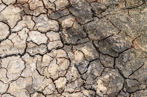 Preview: Dry cracked earth